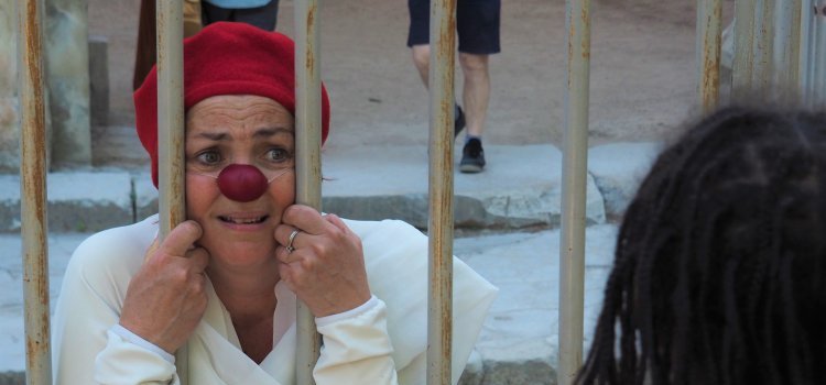 Stages Clown niveau 7 - Initiation à l'intervention sociale en secteur (…)