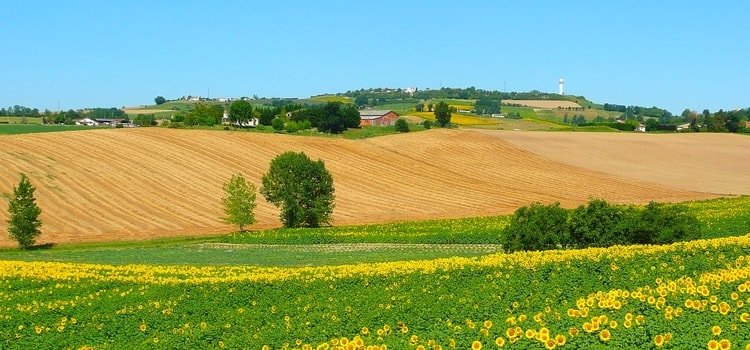 Nos lieux de formation
