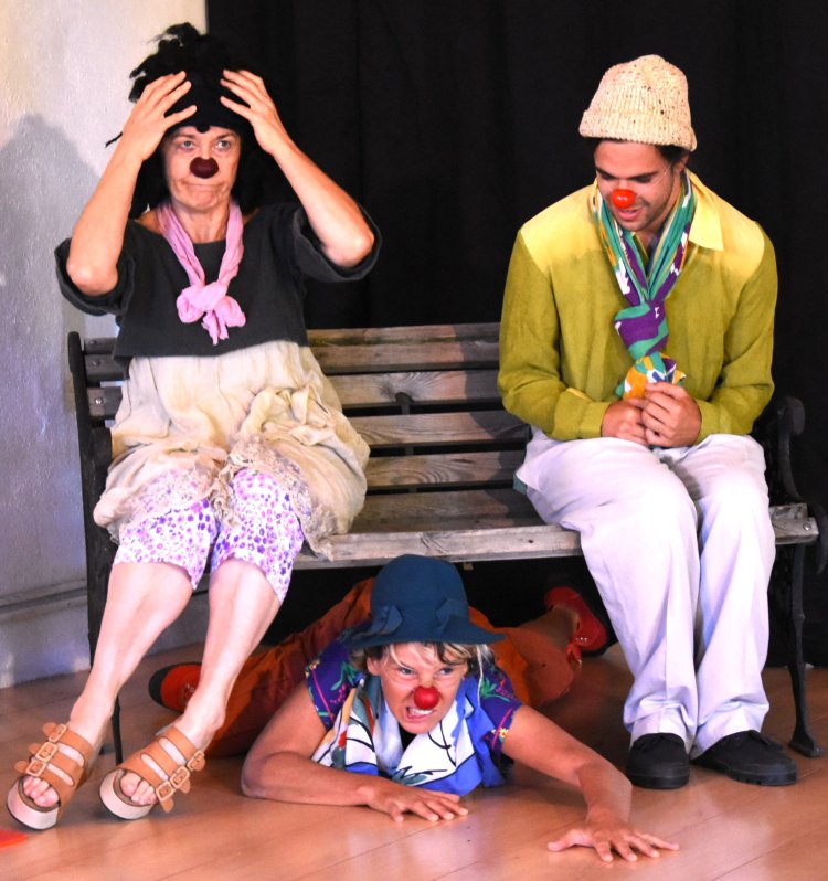 Stages Clown 4 - Perfectionnement par la reprise d'improvisation